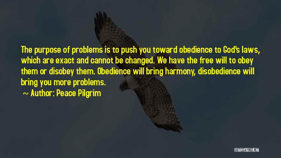 Peace Pilgrim Quotes: The Purpose Of Problems Is To Push You Toward Obedience To God's Laws, Which Are Exact And Cannot Be Changed.