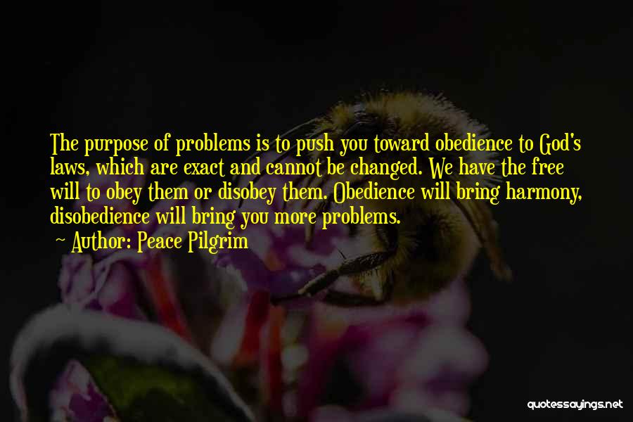 Peace Pilgrim Quotes: The Purpose Of Problems Is To Push You Toward Obedience To God's Laws, Which Are Exact And Cannot Be Changed.