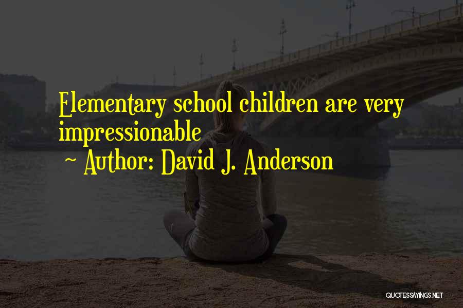 David J. Anderson Quotes: Elementary School Children Are Very Impressionable