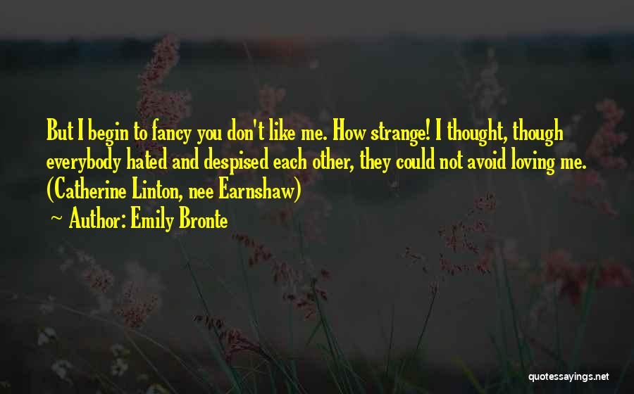 Emily Bronte Quotes: But I Begin To Fancy You Don't Like Me. How Strange! I Thought, Though Everybody Hated And Despised Each Other,