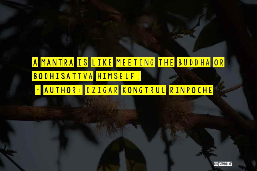 Dzigar Kongtrul Rinpoche Quotes: A Mantra Is Like Meeting The Buddha Or Bodhisattva Himself.