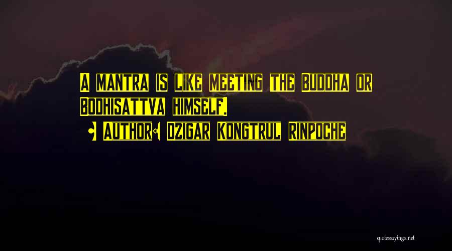 Dzigar Kongtrul Rinpoche Quotes: A Mantra Is Like Meeting The Buddha Or Bodhisattva Himself.