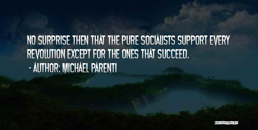 Michael Parenti Quotes: No Surprise Then That The Pure Socialists Support Every Revolution Except For The Ones That Succeed.