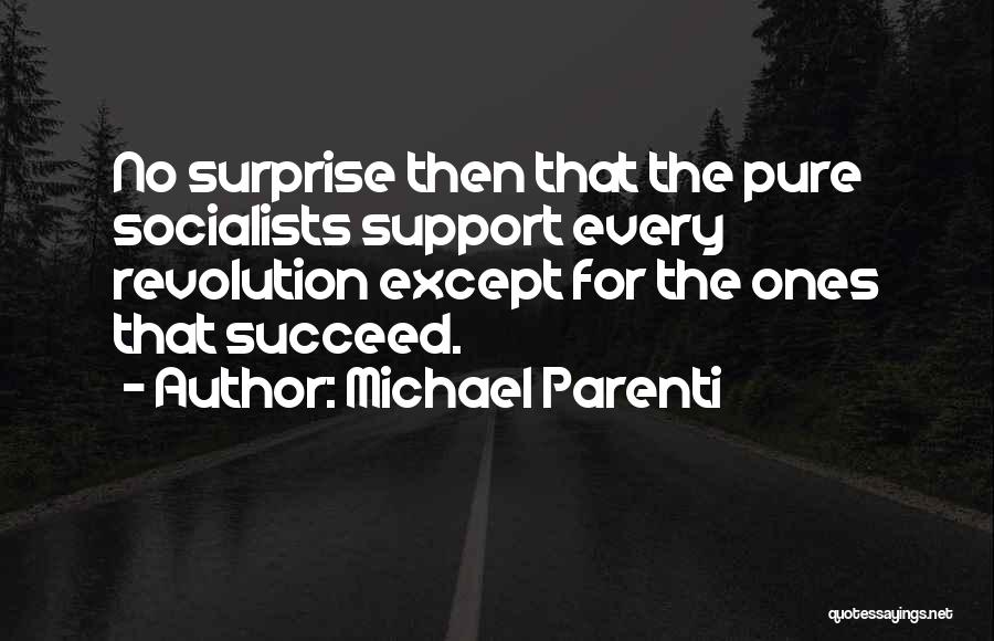 Michael Parenti Quotes: No Surprise Then That The Pure Socialists Support Every Revolution Except For The Ones That Succeed.
