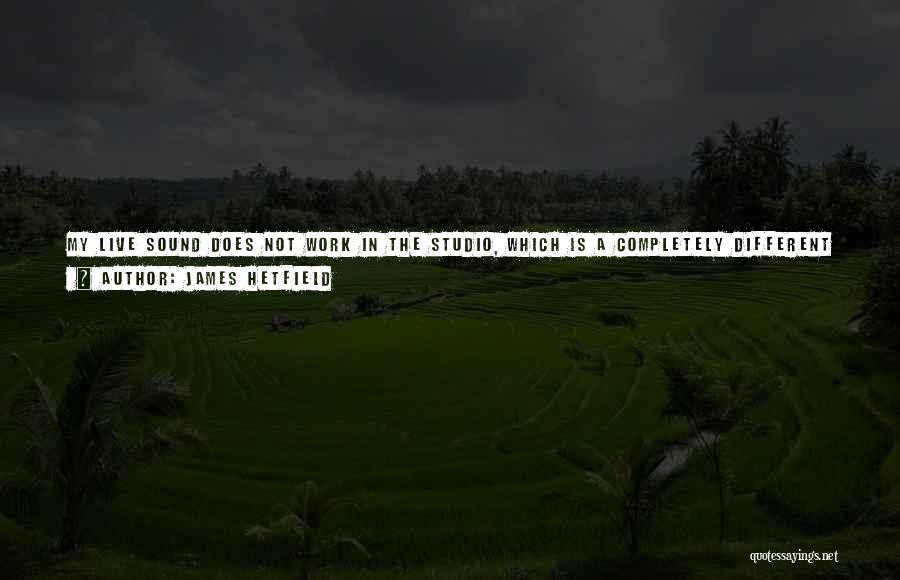 James Hetfield Quotes: My Live Sound Does Not Work In The Studio, Which Is A Completely Different Animal. Every Little Thing Is Detrimental
