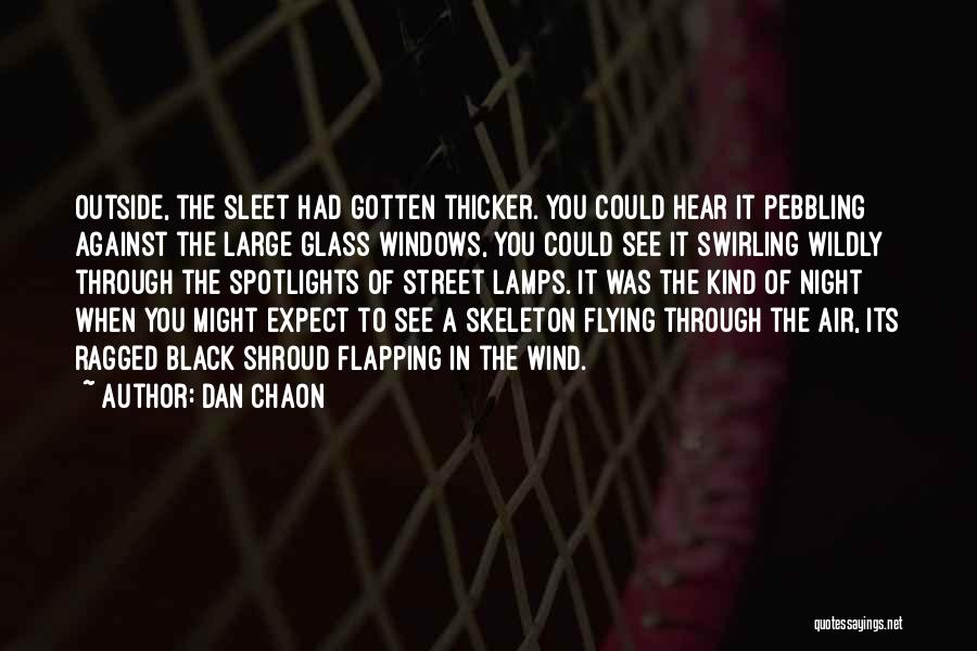 Dan Chaon Quotes: Outside, The Sleet Had Gotten Thicker. You Could Hear It Pebbling Against The Large Glass Windows, You Could See It