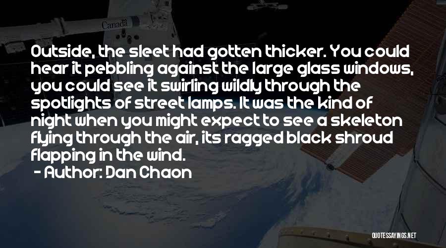 Dan Chaon Quotes: Outside, The Sleet Had Gotten Thicker. You Could Hear It Pebbling Against The Large Glass Windows, You Could See It