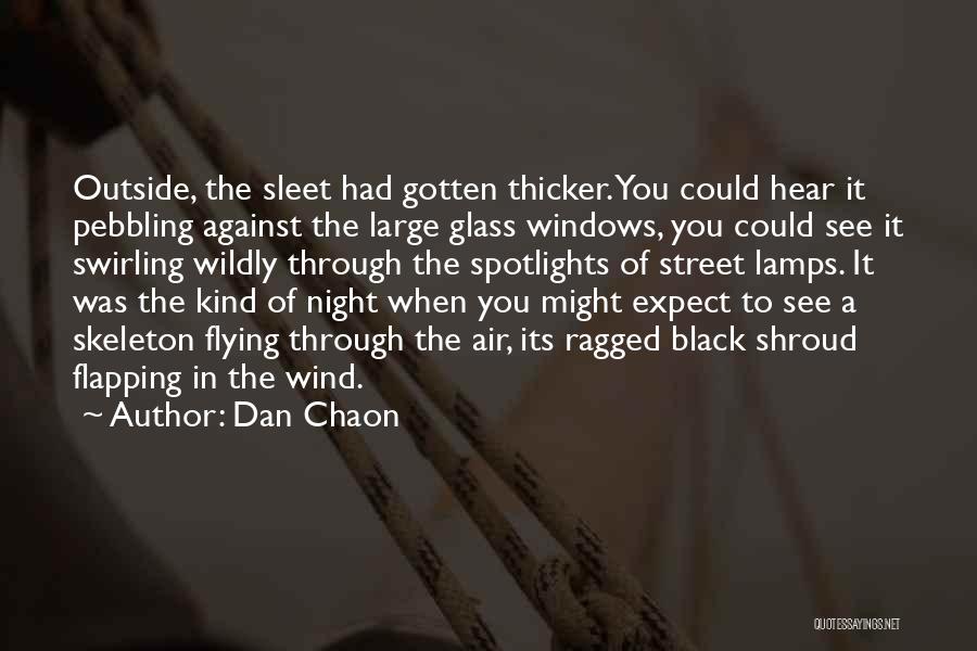 Dan Chaon Quotes: Outside, The Sleet Had Gotten Thicker. You Could Hear It Pebbling Against The Large Glass Windows, You Could See It