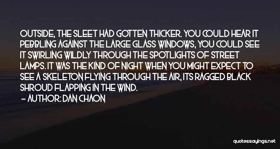Dan Chaon Quotes: Outside, The Sleet Had Gotten Thicker. You Could Hear It Pebbling Against The Large Glass Windows, You Could See It