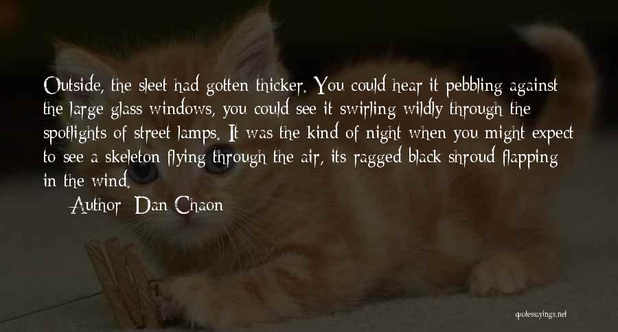 Dan Chaon Quotes: Outside, The Sleet Had Gotten Thicker. You Could Hear It Pebbling Against The Large Glass Windows, You Could See It