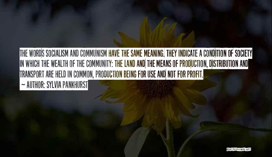 Sylvia Pankhurst Quotes: The Words Socialism And Communism Have The Same Meaning. They Indicate A Condition Of Society In Which The Wealth Of