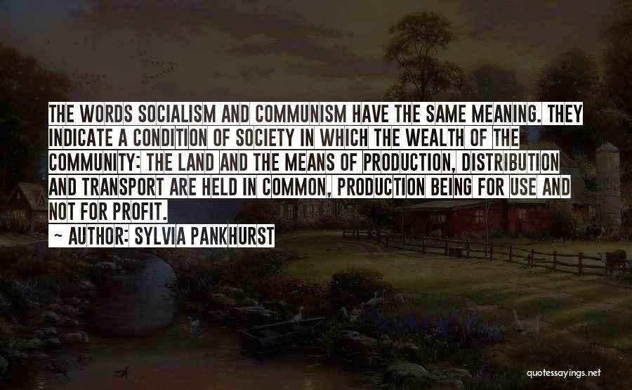 Sylvia Pankhurst Quotes: The Words Socialism And Communism Have The Same Meaning. They Indicate A Condition Of Society In Which The Wealth Of