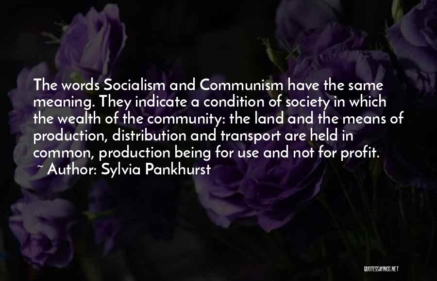 Sylvia Pankhurst Quotes: The Words Socialism And Communism Have The Same Meaning. They Indicate A Condition Of Society In Which The Wealth Of