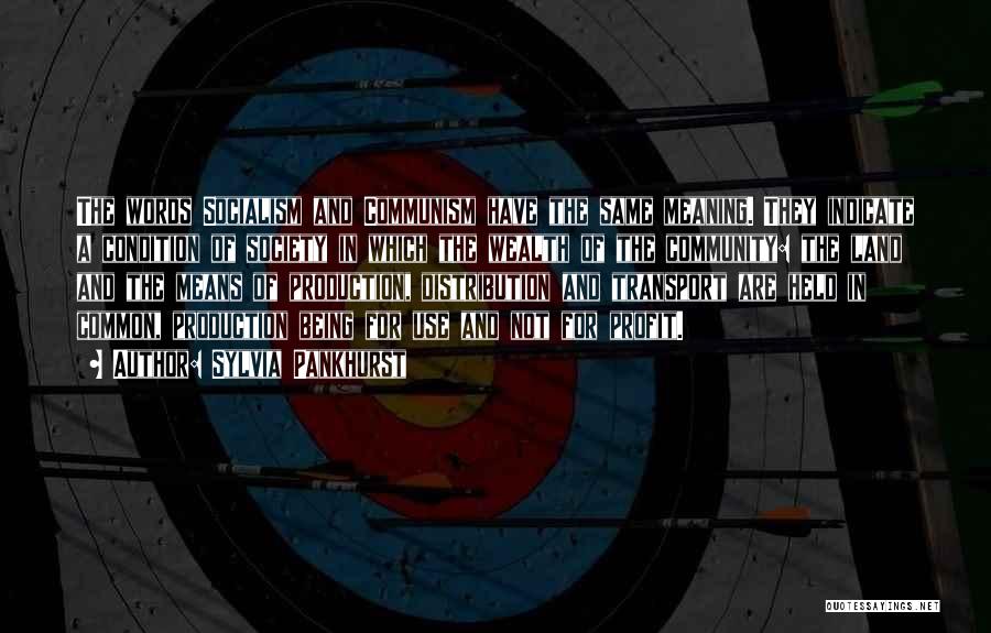 Sylvia Pankhurst Quotes: The Words Socialism And Communism Have The Same Meaning. They Indicate A Condition Of Society In Which The Wealth Of
