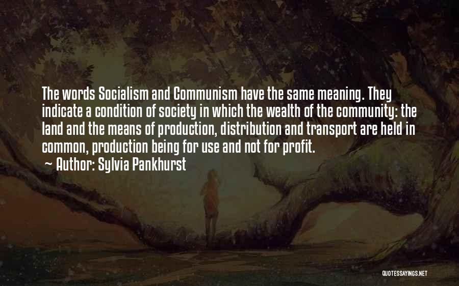 Sylvia Pankhurst Quotes: The Words Socialism And Communism Have The Same Meaning. They Indicate A Condition Of Society In Which The Wealth Of