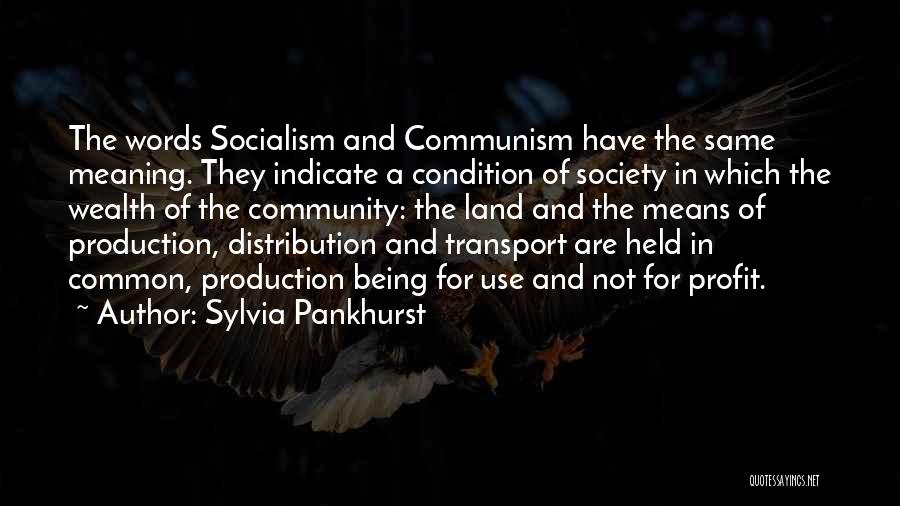 Sylvia Pankhurst Quotes: The Words Socialism And Communism Have The Same Meaning. They Indicate A Condition Of Society In Which The Wealth Of