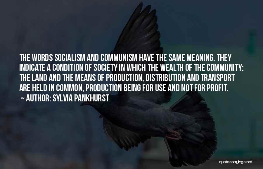 Sylvia Pankhurst Quotes: The Words Socialism And Communism Have The Same Meaning. They Indicate A Condition Of Society In Which The Wealth Of