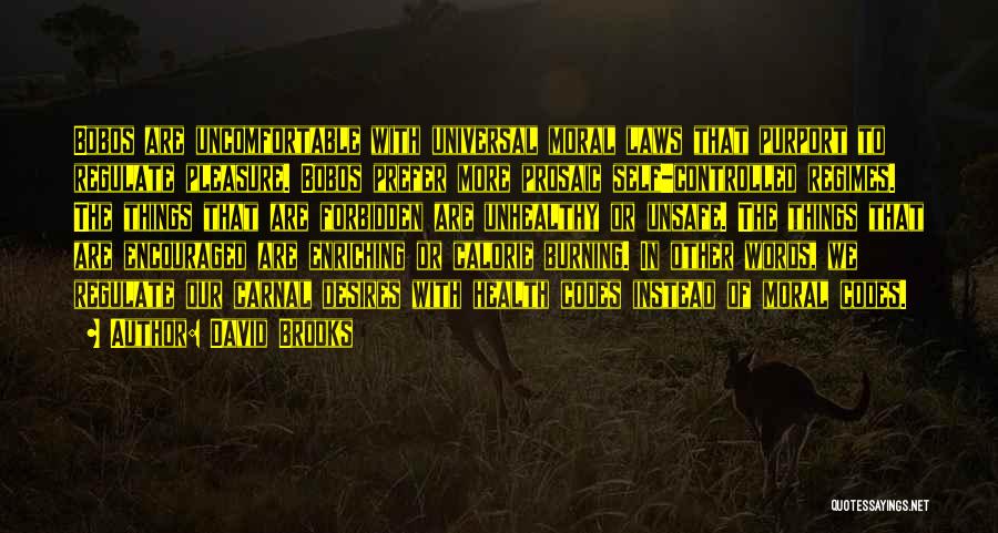 David Brooks Quotes: Bobos Are Uncomfortable With Universal Moral Laws That Purport To Regulate Pleasure. Bobos Prefer More Prosaic Self-controlled Regimes. The Things