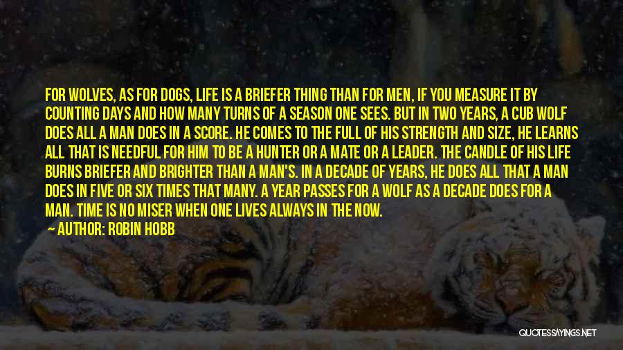 Robin Hobb Quotes: For Wolves, As For Dogs, Life Is A Briefer Thing Than For Men, If You Measure It By Counting Days