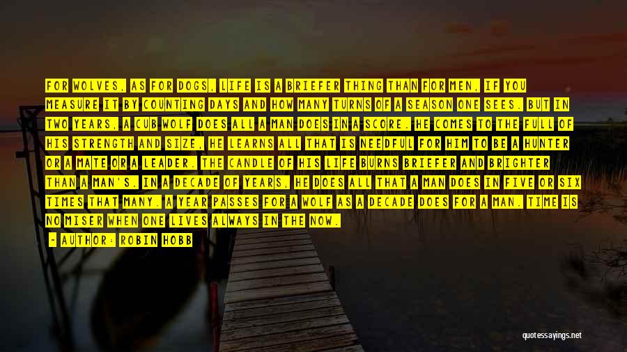 Robin Hobb Quotes: For Wolves, As For Dogs, Life Is A Briefer Thing Than For Men, If You Measure It By Counting Days