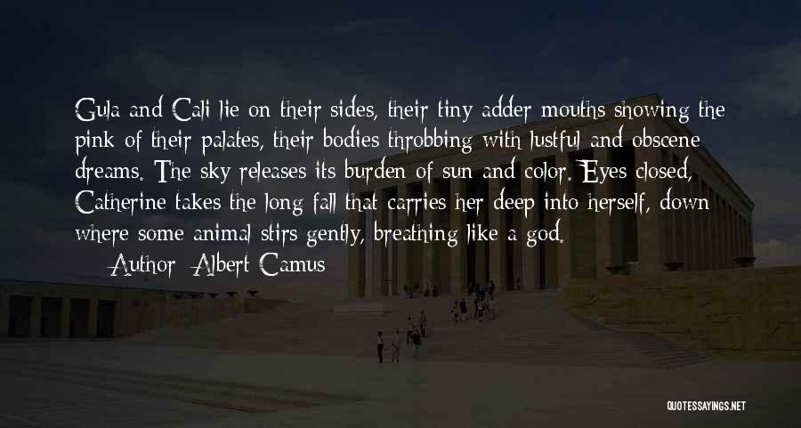 Albert Camus Quotes: Gula And Cali Lie On Their Sides, Their Tiny Adder-mouths Showing The Pink Of Their Palates, Their Bodies Throbbing With