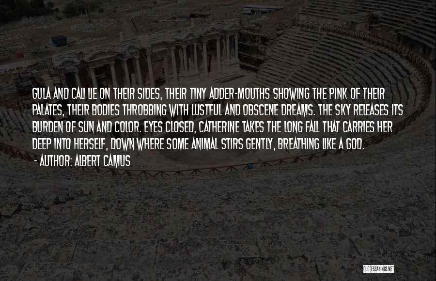 Albert Camus Quotes: Gula And Cali Lie On Their Sides, Their Tiny Adder-mouths Showing The Pink Of Their Palates, Their Bodies Throbbing With