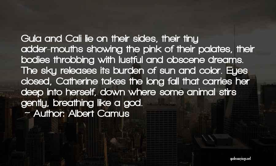 Albert Camus Quotes: Gula And Cali Lie On Their Sides, Their Tiny Adder-mouths Showing The Pink Of Their Palates, Their Bodies Throbbing With