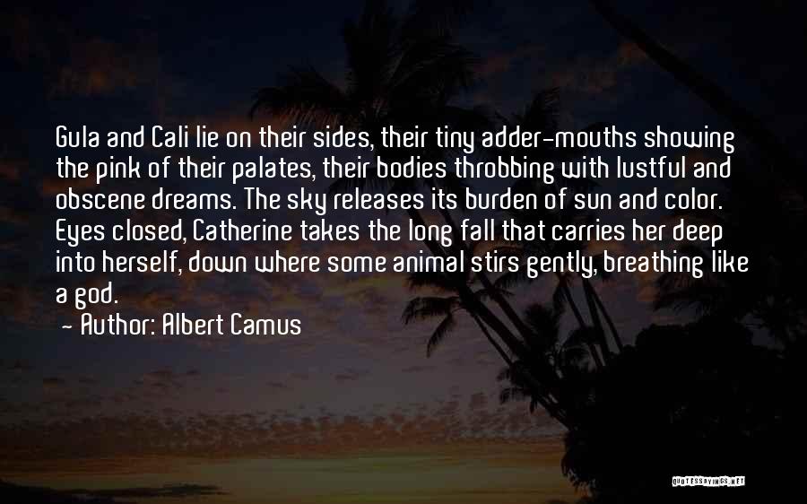 Albert Camus Quotes: Gula And Cali Lie On Their Sides, Their Tiny Adder-mouths Showing The Pink Of Their Palates, Their Bodies Throbbing With