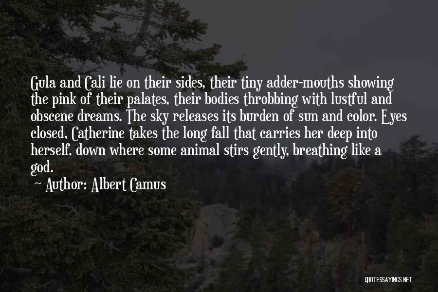 Albert Camus Quotes: Gula And Cali Lie On Their Sides, Their Tiny Adder-mouths Showing The Pink Of Their Palates, Their Bodies Throbbing With