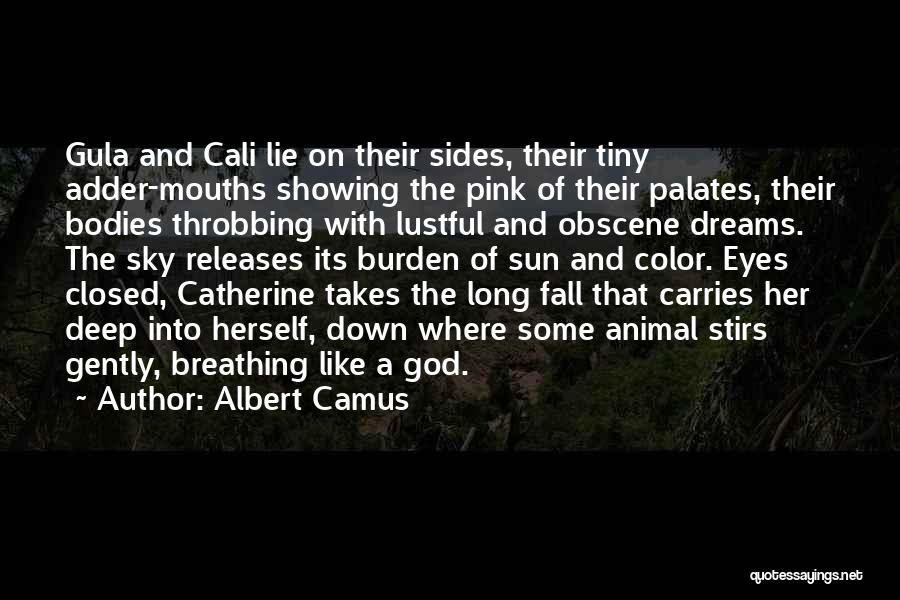 Albert Camus Quotes: Gula And Cali Lie On Their Sides, Their Tiny Adder-mouths Showing The Pink Of Their Palates, Their Bodies Throbbing With