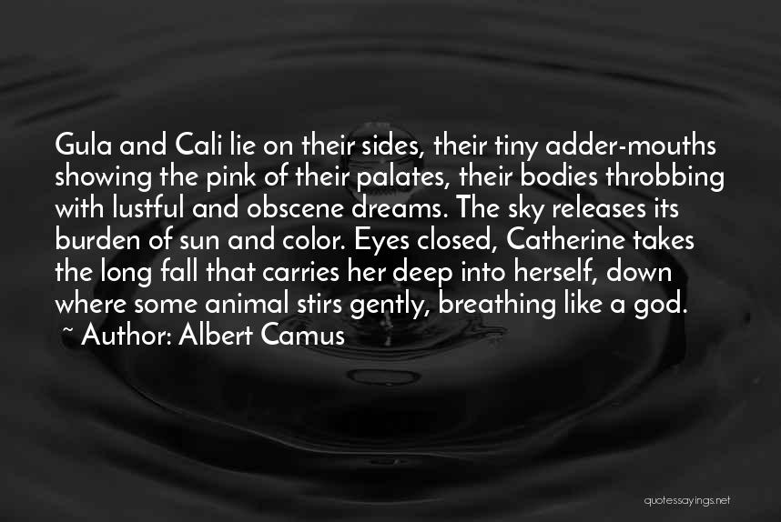 Albert Camus Quotes: Gula And Cali Lie On Their Sides, Their Tiny Adder-mouths Showing The Pink Of Their Palates, Their Bodies Throbbing With