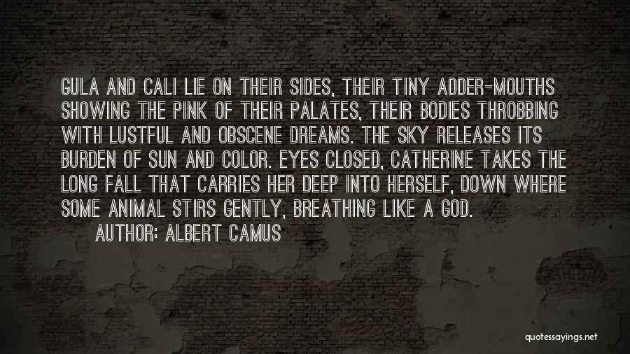 Albert Camus Quotes: Gula And Cali Lie On Their Sides, Their Tiny Adder-mouths Showing The Pink Of Their Palates, Their Bodies Throbbing With
