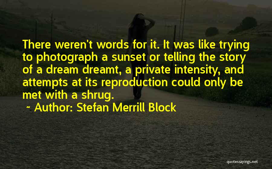 Stefan Merrill Block Quotes: There Weren't Words For It. It Was Like Trying To Photograph A Sunset Or Telling The Story Of A Dream