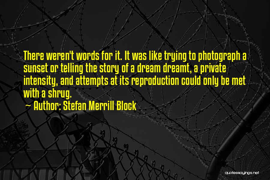 Stefan Merrill Block Quotes: There Weren't Words For It. It Was Like Trying To Photograph A Sunset Or Telling The Story Of A Dream