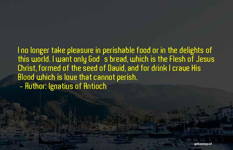 Ignatius Of Antioch Quotes: I No Longer Take Pleasure In Perishable Food Or In The Delights Of This World. I Want Only God's Bread,