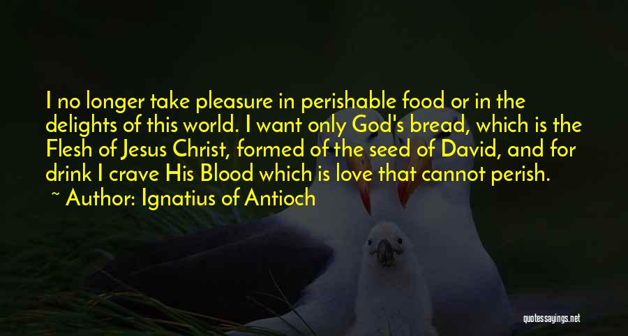 Ignatius Of Antioch Quotes: I No Longer Take Pleasure In Perishable Food Or In The Delights Of This World. I Want Only God's Bread,