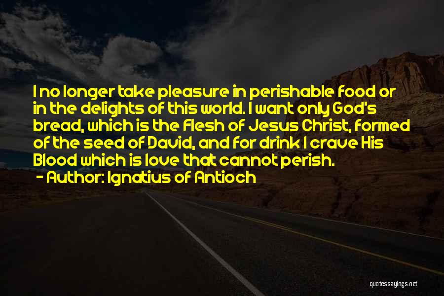 Ignatius Of Antioch Quotes: I No Longer Take Pleasure In Perishable Food Or In The Delights Of This World. I Want Only God's Bread,