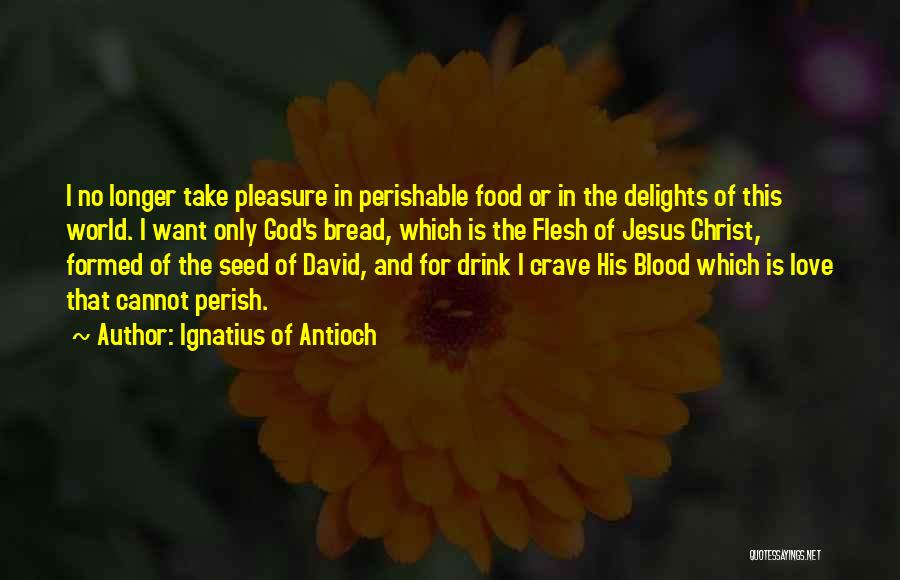 Ignatius Of Antioch Quotes: I No Longer Take Pleasure In Perishable Food Or In The Delights Of This World. I Want Only God's Bread,