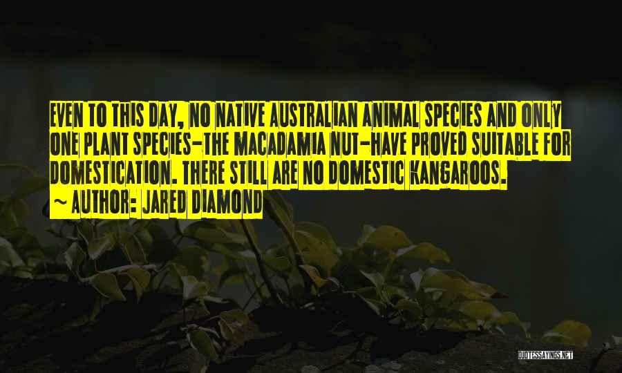 Jared Diamond Quotes: Even To This Day, No Native Australian Animal Species And Only One Plant Species-the Macadamia Nut-have Proved Suitable For Domestication.