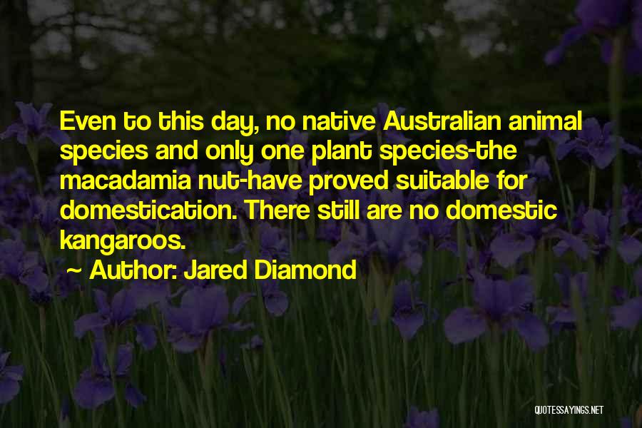 Jared Diamond Quotes: Even To This Day, No Native Australian Animal Species And Only One Plant Species-the Macadamia Nut-have Proved Suitable For Domestication.