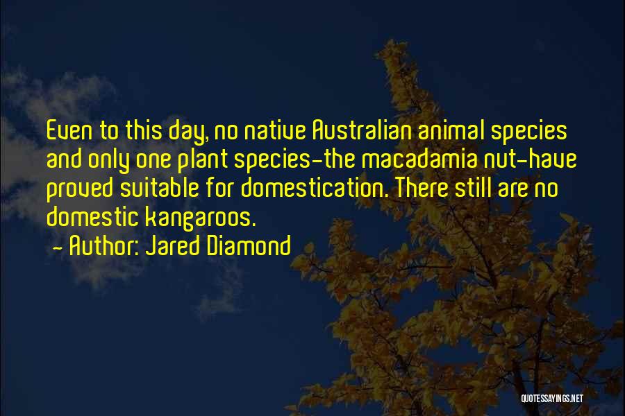 Jared Diamond Quotes: Even To This Day, No Native Australian Animal Species And Only One Plant Species-the Macadamia Nut-have Proved Suitable For Domestication.