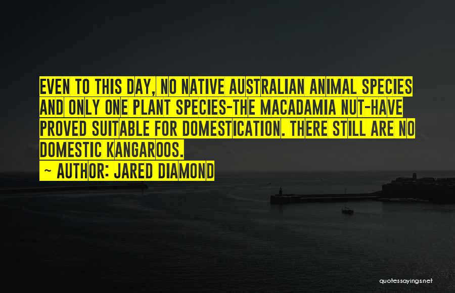 Jared Diamond Quotes: Even To This Day, No Native Australian Animal Species And Only One Plant Species-the Macadamia Nut-have Proved Suitable For Domestication.