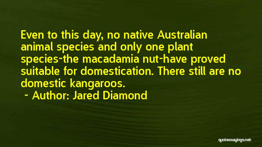 Jared Diamond Quotes: Even To This Day, No Native Australian Animal Species And Only One Plant Species-the Macadamia Nut-have Proved Suitable For Domestication.