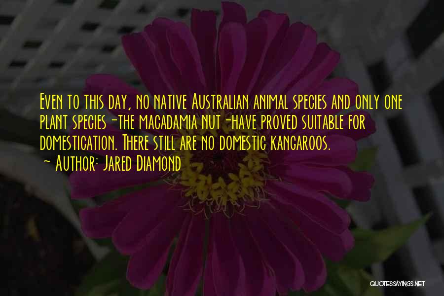 Jared Diamond Quotes: Even To This Day, No Native Australian Animal Species And Only One Plant Species-the Macadamia Nut-have Proved Suitable For Domestication.