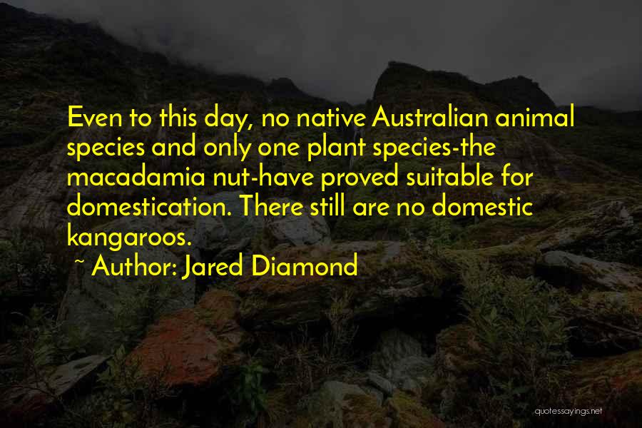 Jared Diamond Quotes: Even To This Day, No Native Australian Animal Species And Only One Plant Species-the Macadamia Nut-have Proved Suitable For Domestication.