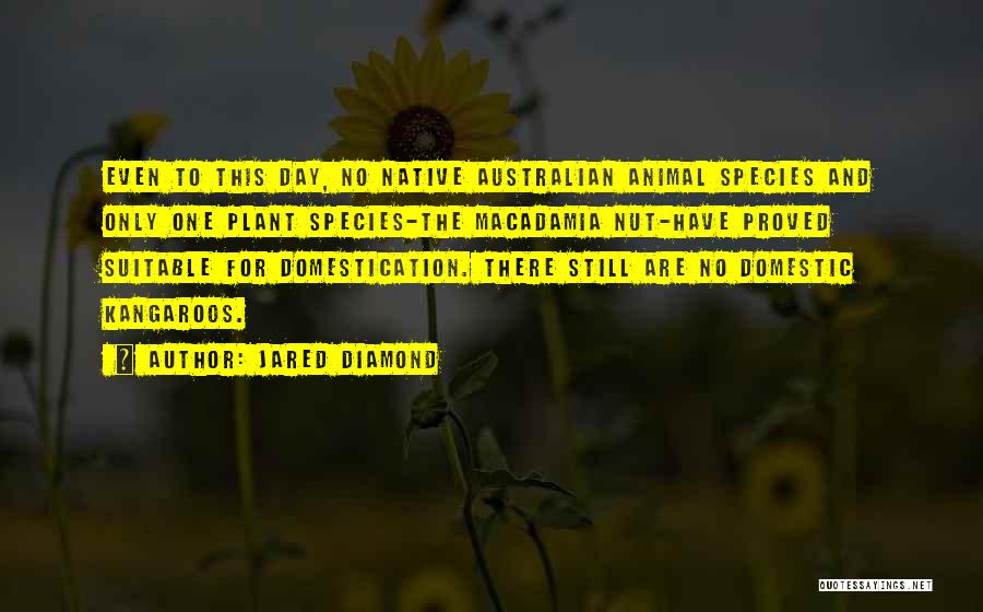 Jared Diamond Quotes: Even To This Day, No Native Australian Animal Species And Only One Plant Species-the Macadamia Nut-have Proved Suitable For Domestication.