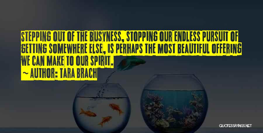 Tara Brach Quotes: Stepping Out Of The Busyness, Stopping Our Endless Pursuit Of Getting Somewhere Else, Is Perhaps The Most Beautiful Offering We
