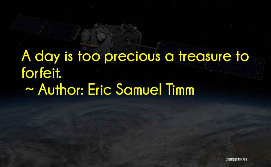 Eric Samuel Timm Quotes: A Day Is Too Precious A Treasure To Forfeit.