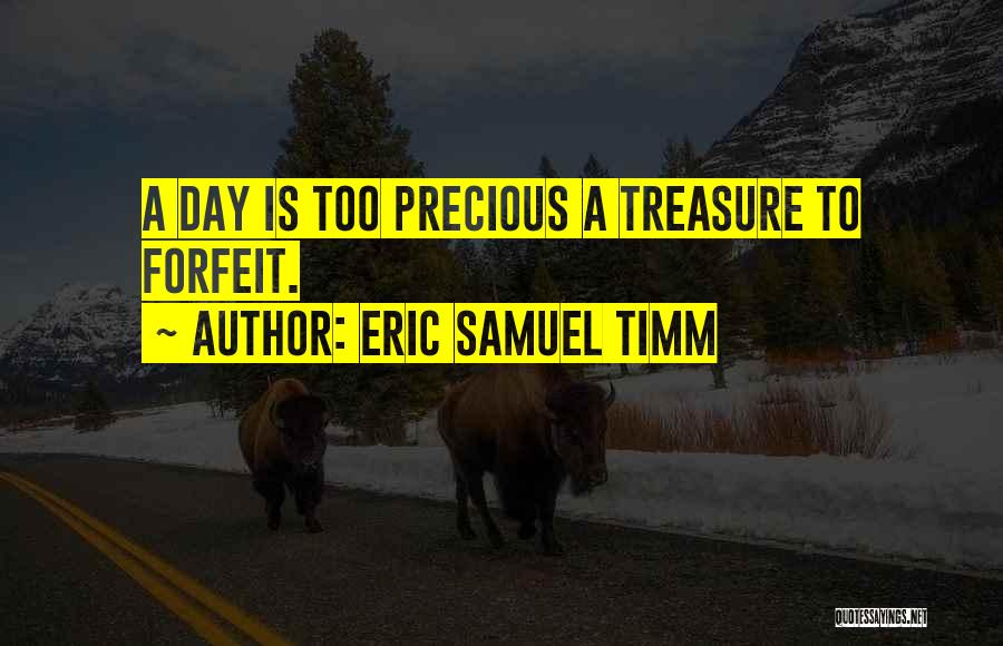 Eric Samuel Timm Quotes: A Day Is Too Precious A Treasure To Forfeit.