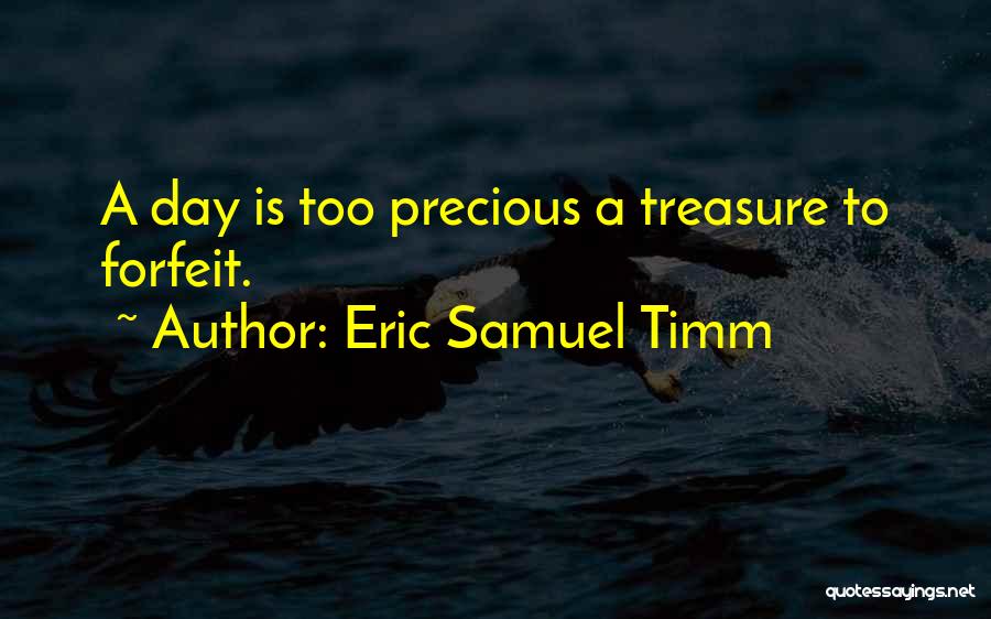 Eric Samuel Timm Quotes: A Day Is Too Precious A Treasure To Forfeit.